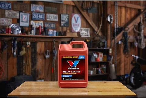 Valvoline Antifreeze Coolant,1 gal.,Concentrated  719009